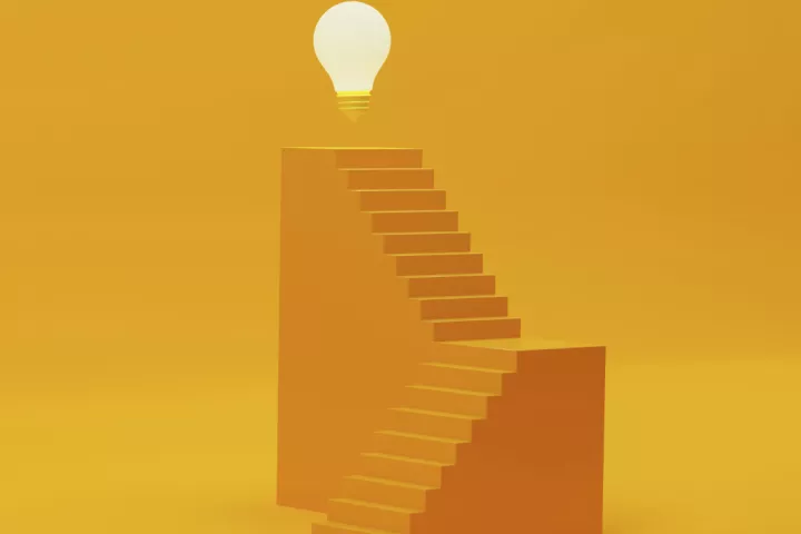 Insights
